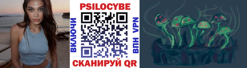 Галлюциногенные грибы Cubensis Каргополь